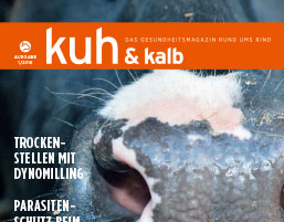 Kuh & Kalb – Das Gesundheitsmagazin rund ums Rind